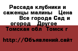 Рассада клубники и саженцы малины › Цена ­ 10 - Все города Сад и огород » Другое   . Томская обл.,Томск г.